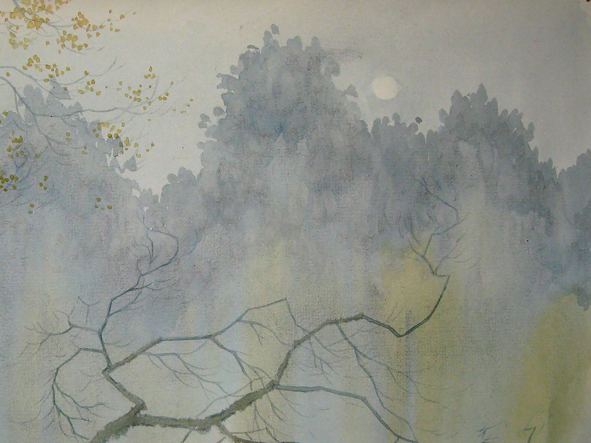 River Nature Landscape 