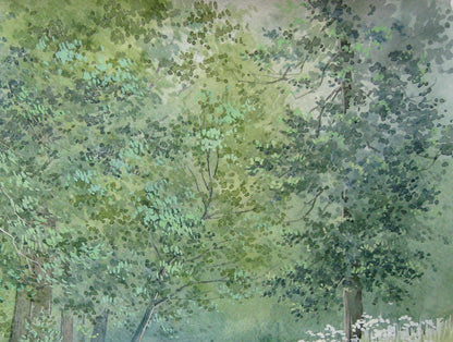 Forest Nature Landscape 