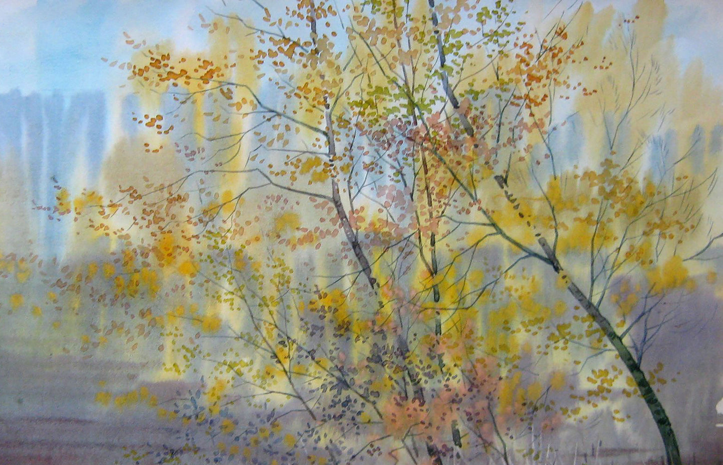 Autumn Nature Landscape 