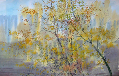 Autumn Nature Landscape 