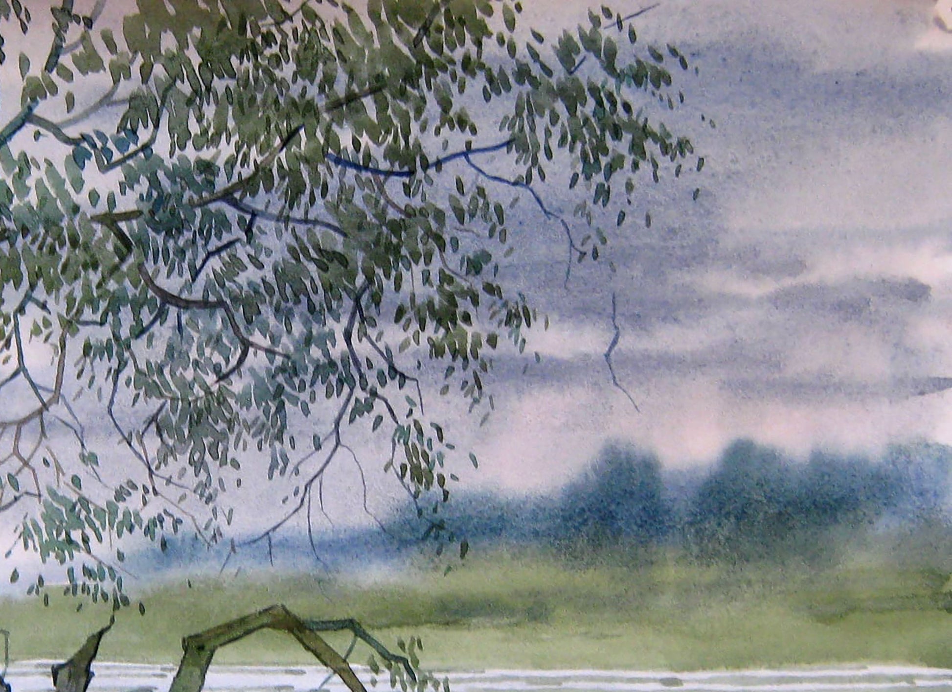 River Nature Landscape 