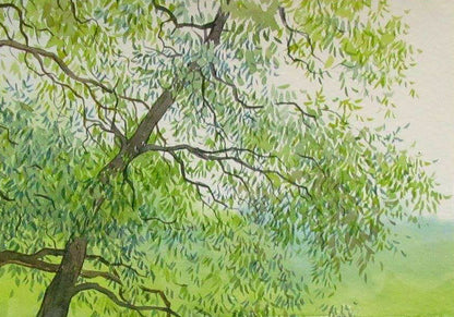 Nature Landscape 