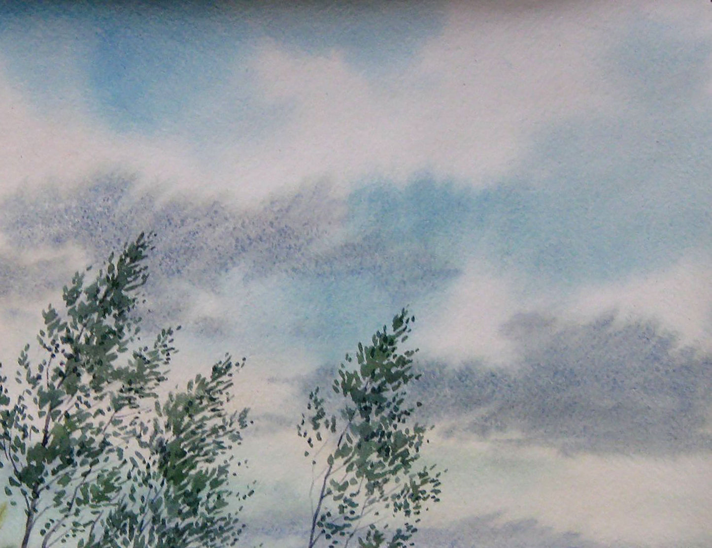 Nature Landscape countryside