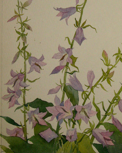 Bouquet of Flowers  