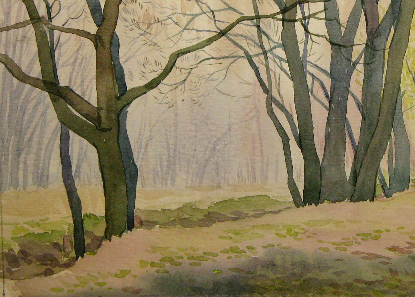 Spring Nature Forest landscape