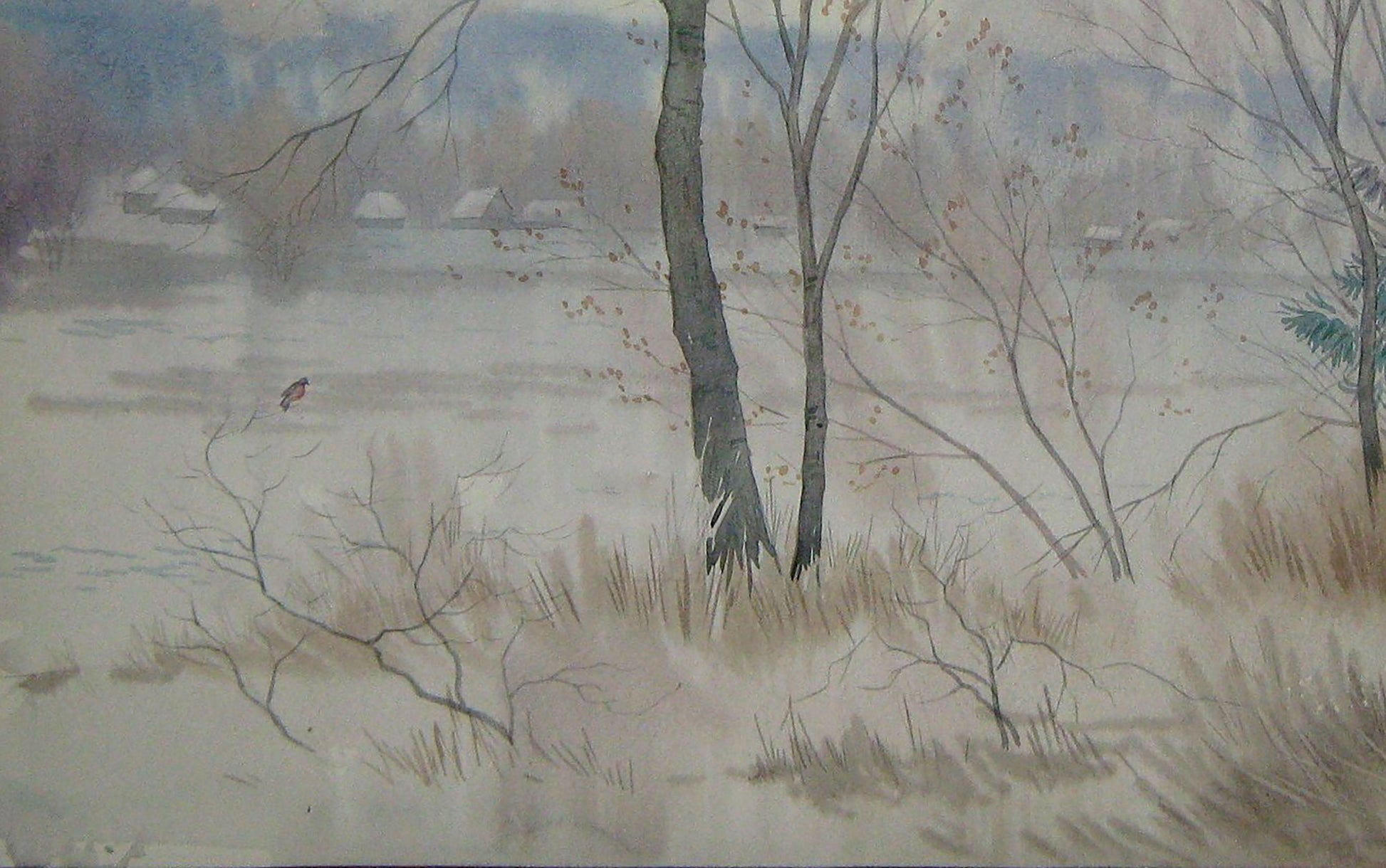 Winter Rural landscape 
