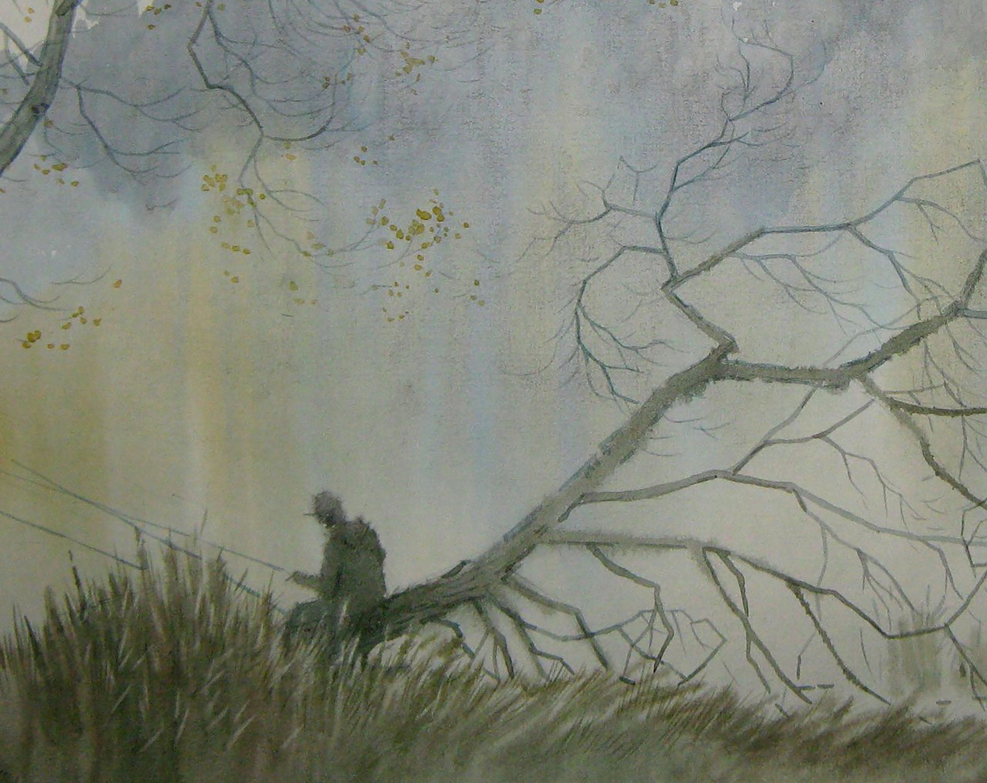 Forest Nature Landscape 