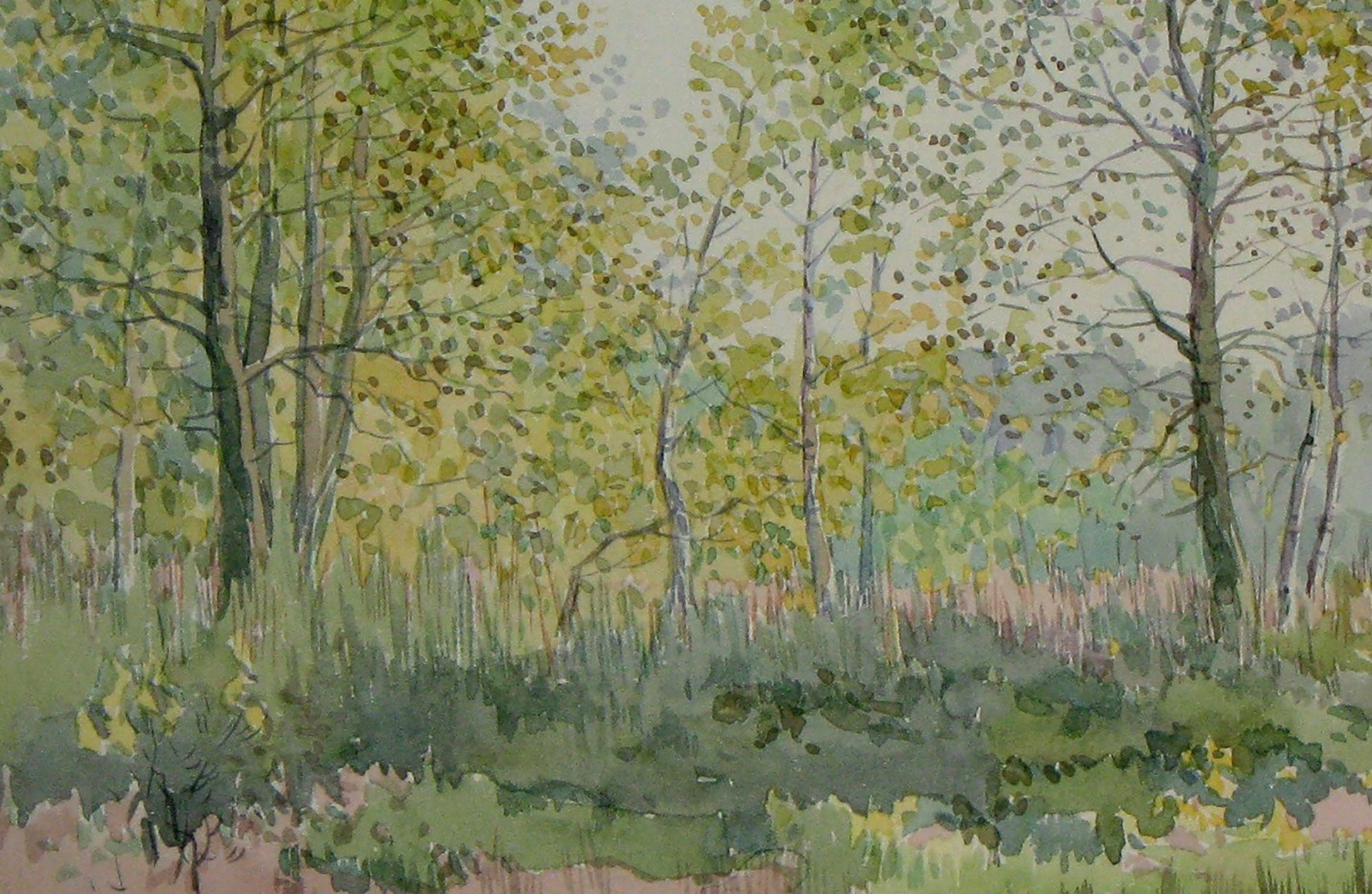 Autumn Forest Nature Landscape 
