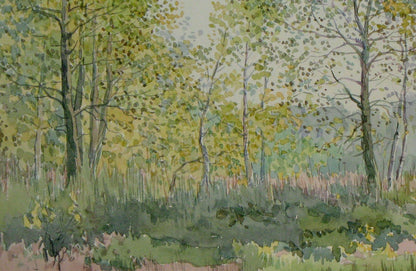 Autumn Forest Nature Landscape 