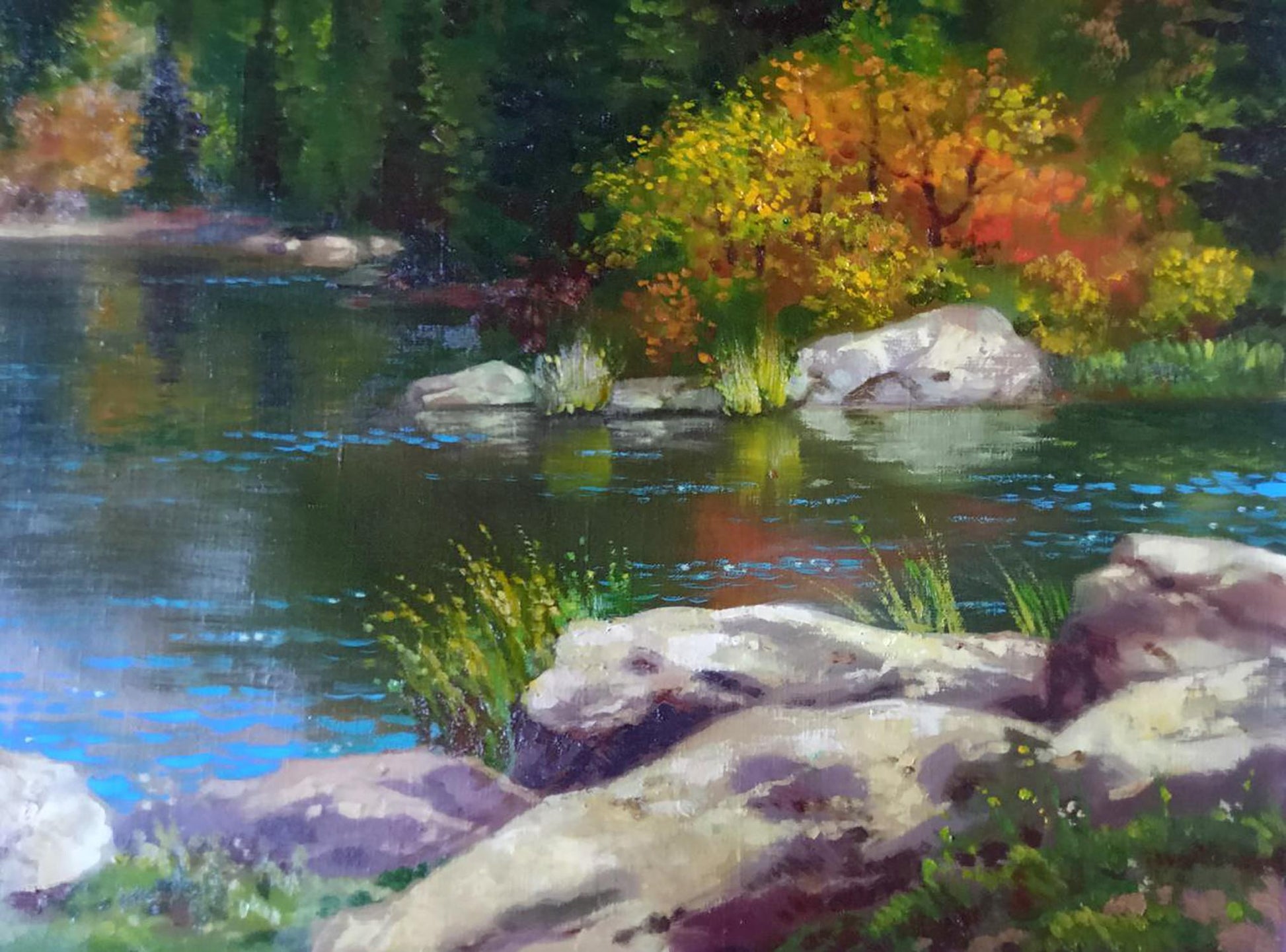 Nature Landscape 