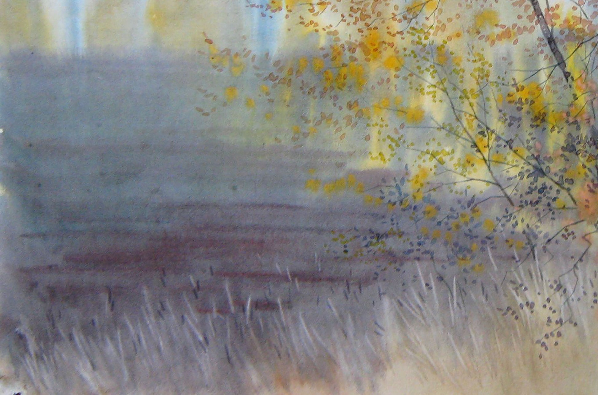 Autumn Forest landscape