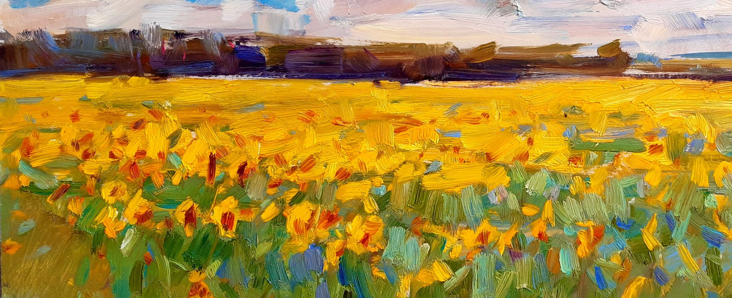 Oli painting Sunflowers are ripening Pereta Vyacheslav