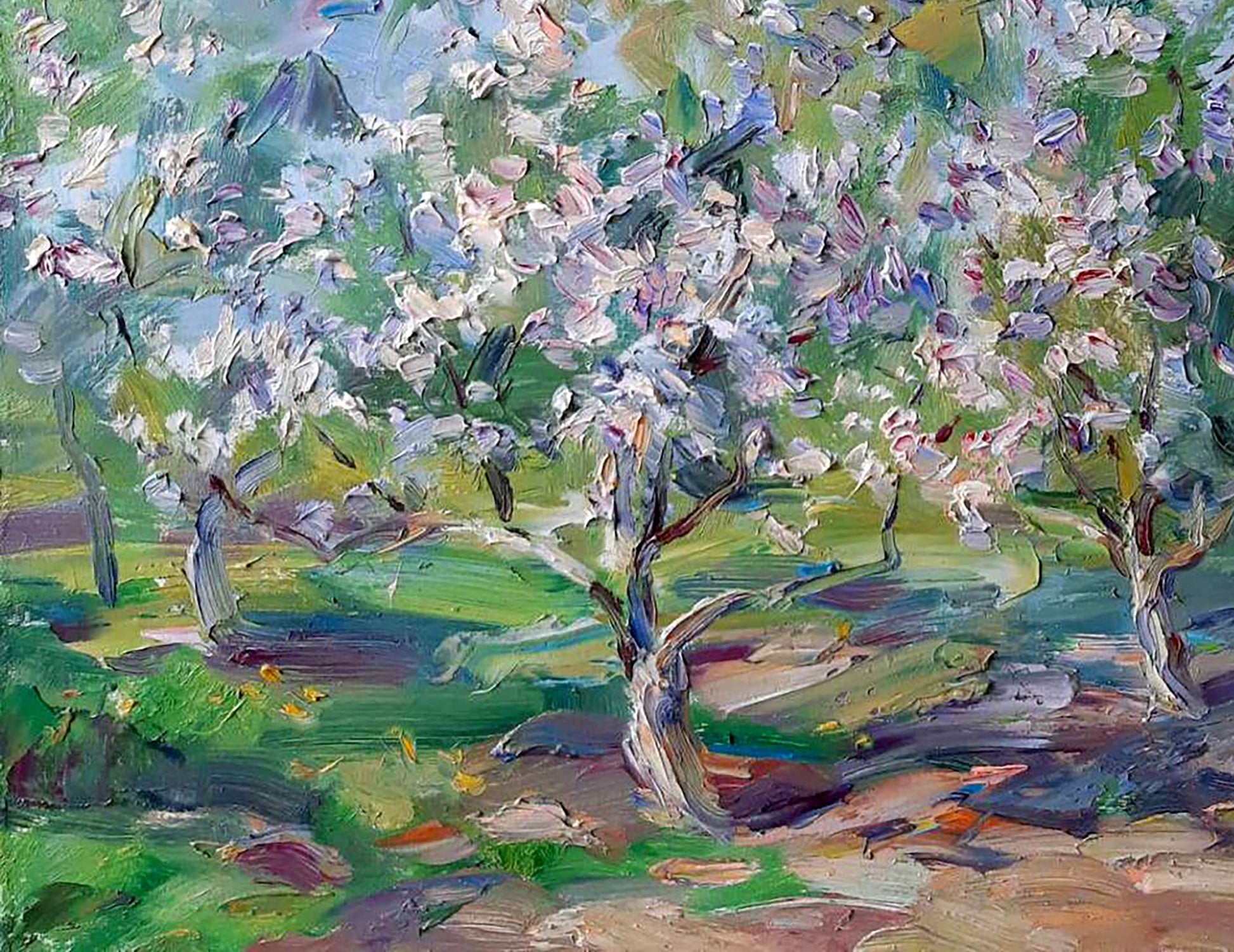 Spring countryside