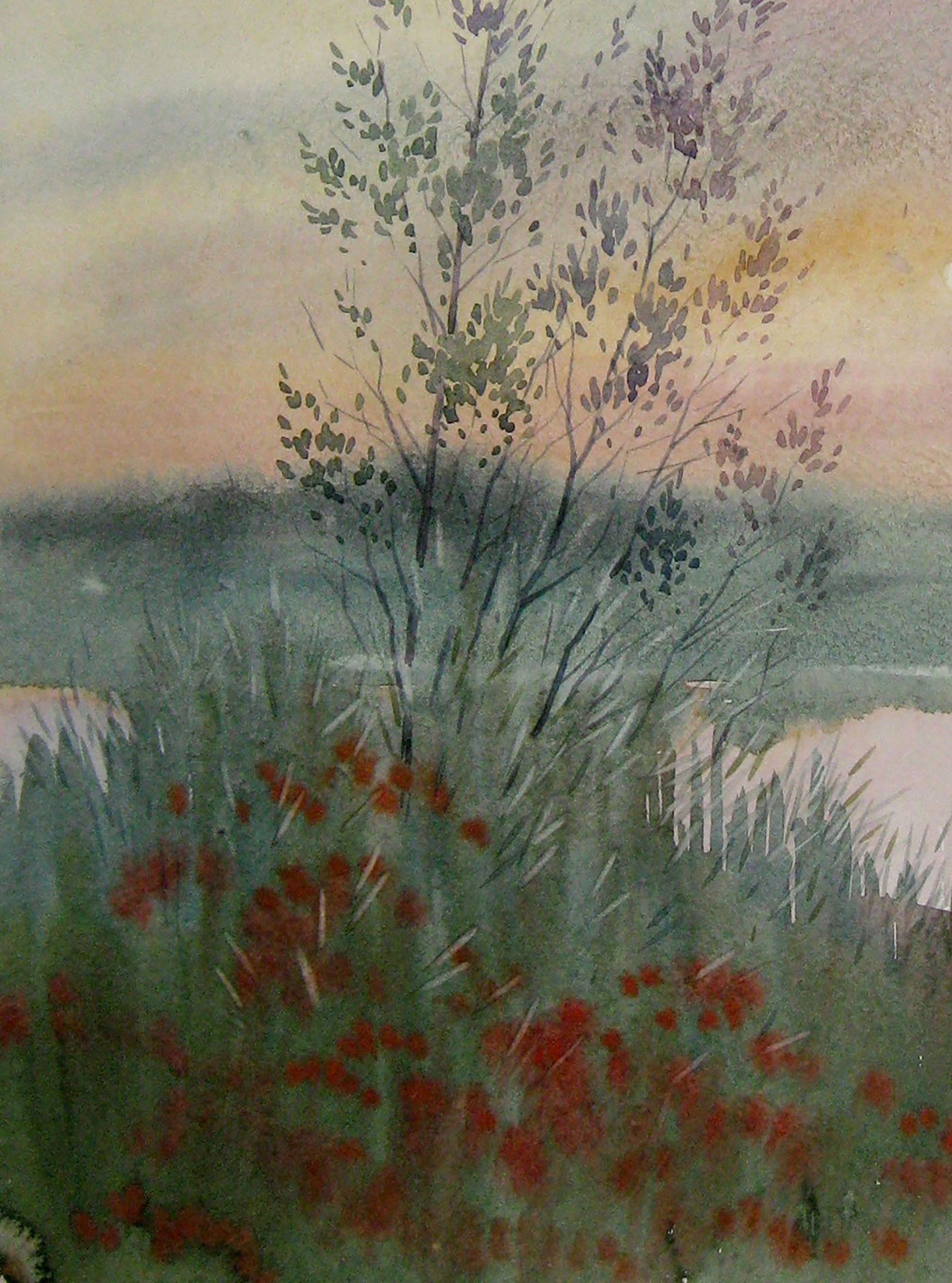 Evening River Nature Landscape 