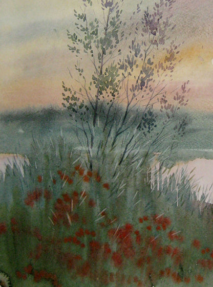 Evening River Nature Landscape 