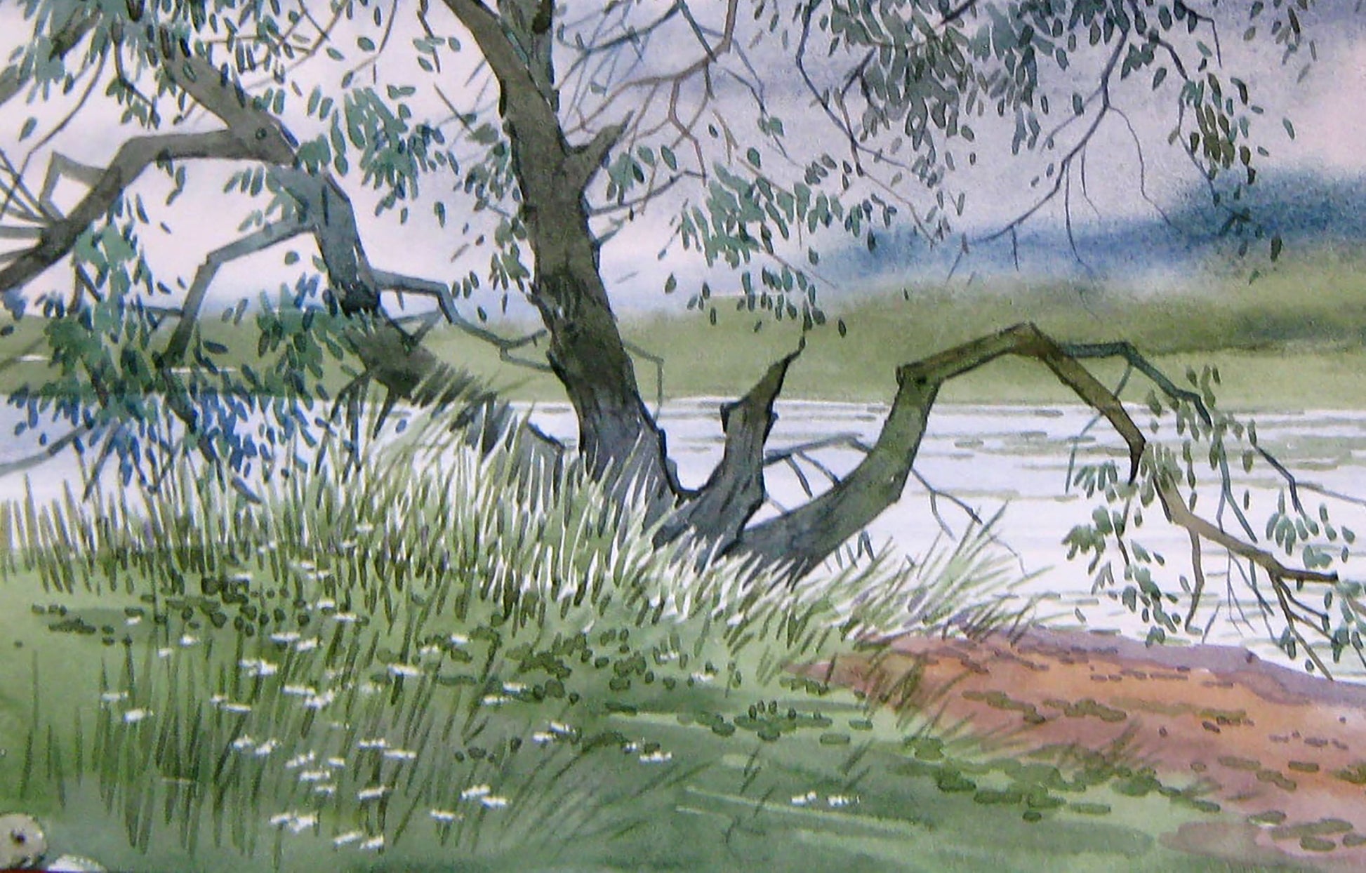 Summer River Nature Landscape