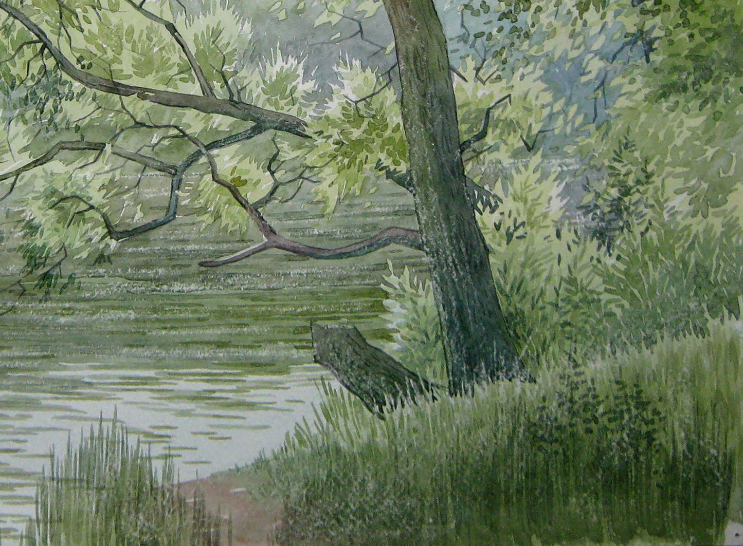 Watercolor painting River Forest Nature Landscape