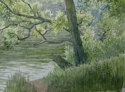 Watercolor painting River Forest Nature Landscape