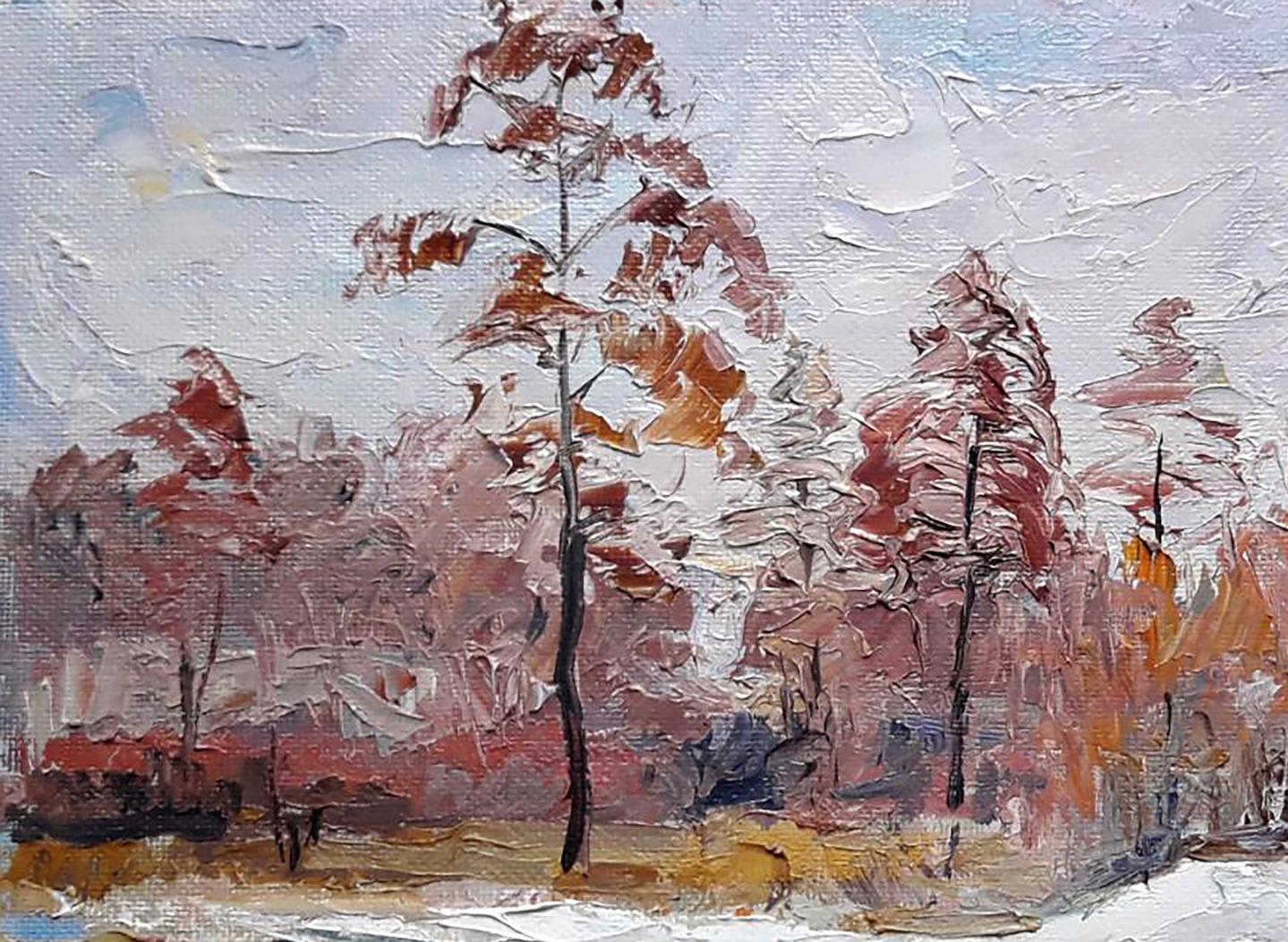 edge of the forest
