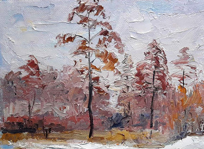 edge of the forest