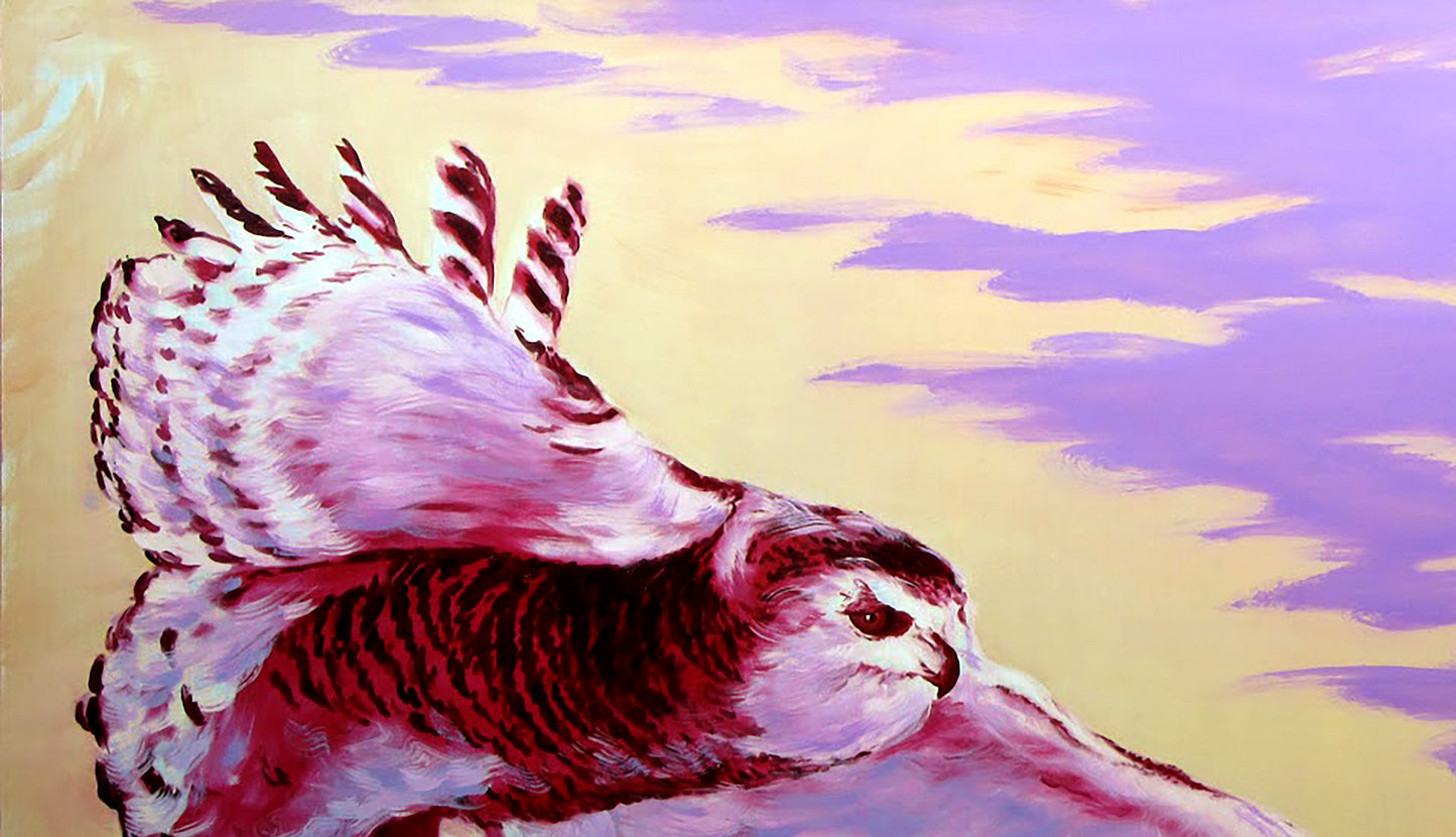 Animals Portraits