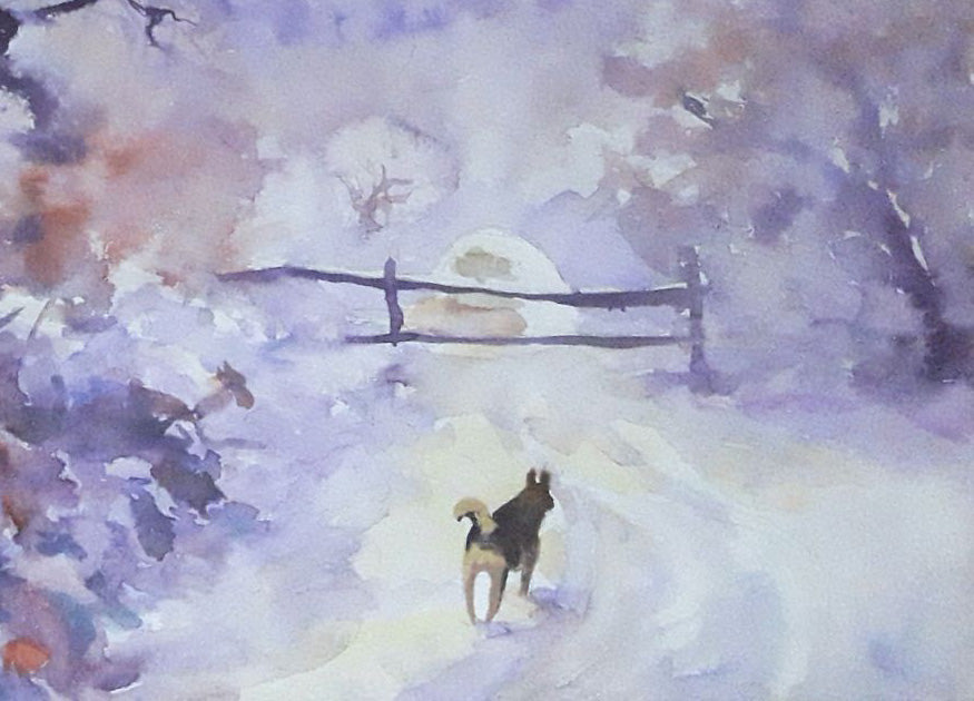 Nature Landscape 