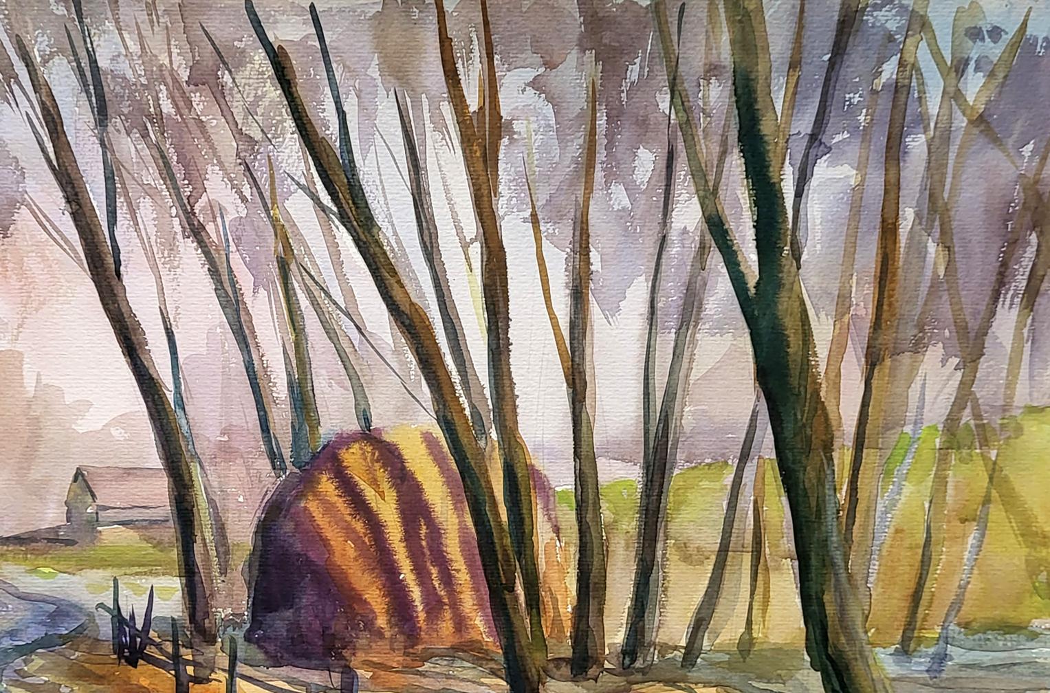 Nature Landscape 