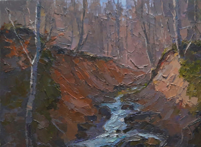 Forest landscape
