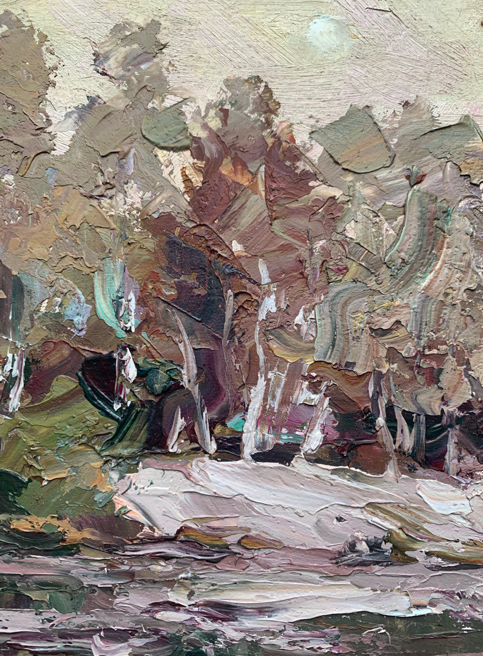 Evening Forest landscape