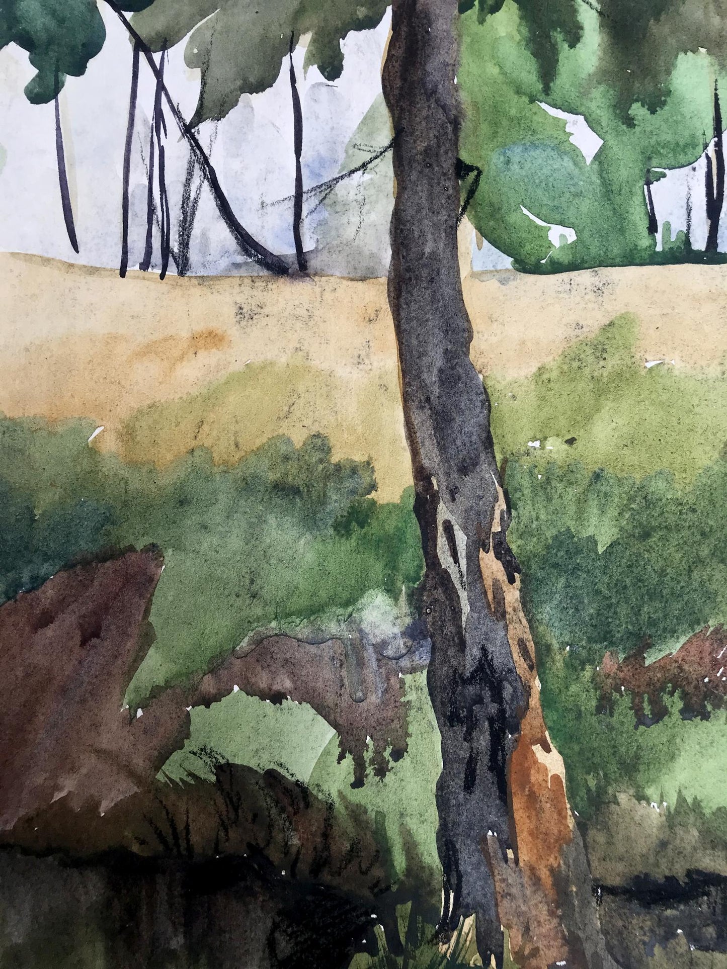 Watercolor painting Rest in the woods Unknown artist