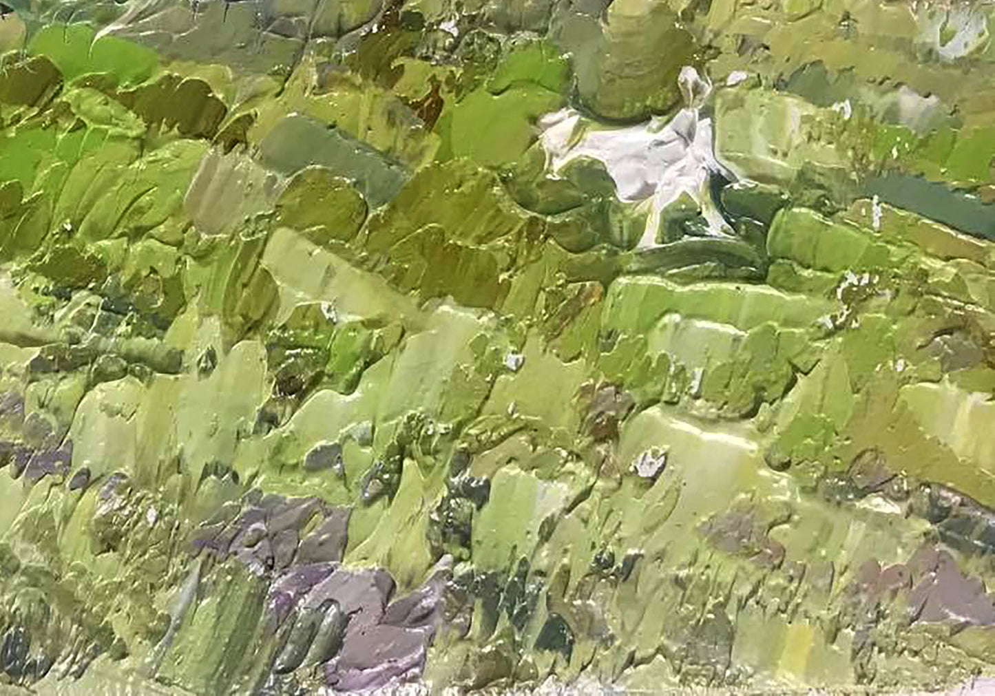 Oil Painting Nature Landscape