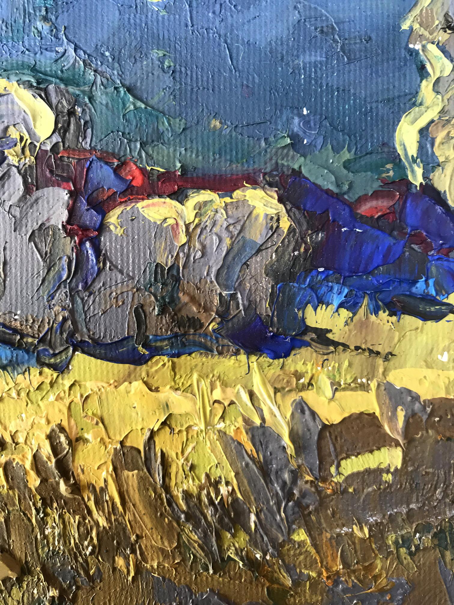 Evening rural landscape