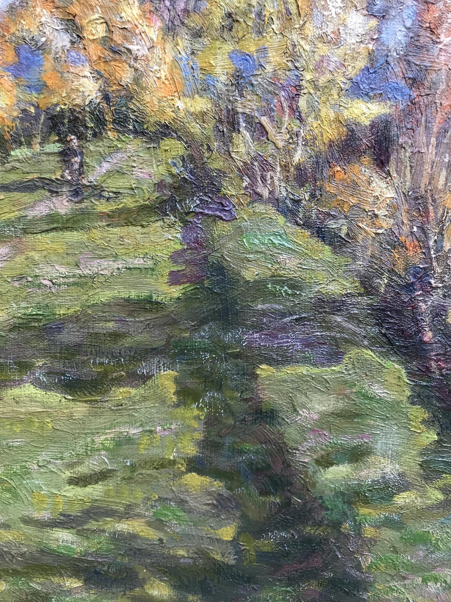 Forest landscape