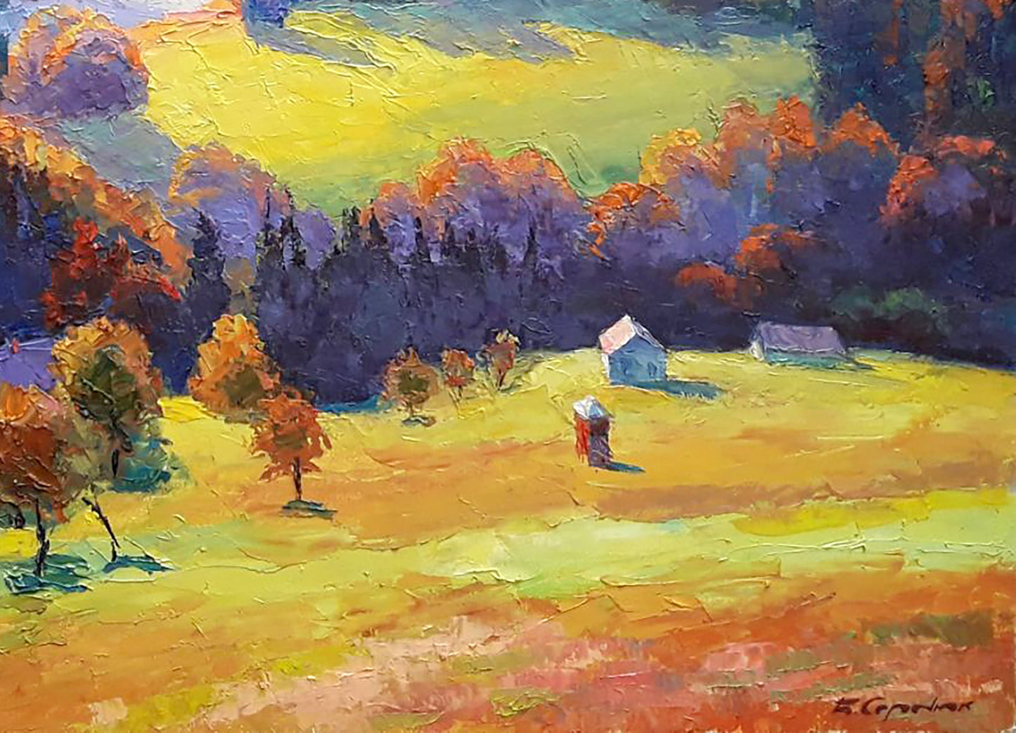 Nature Landscape 