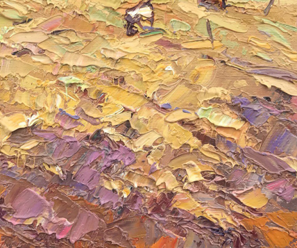 Oil Painting Nature Landscape