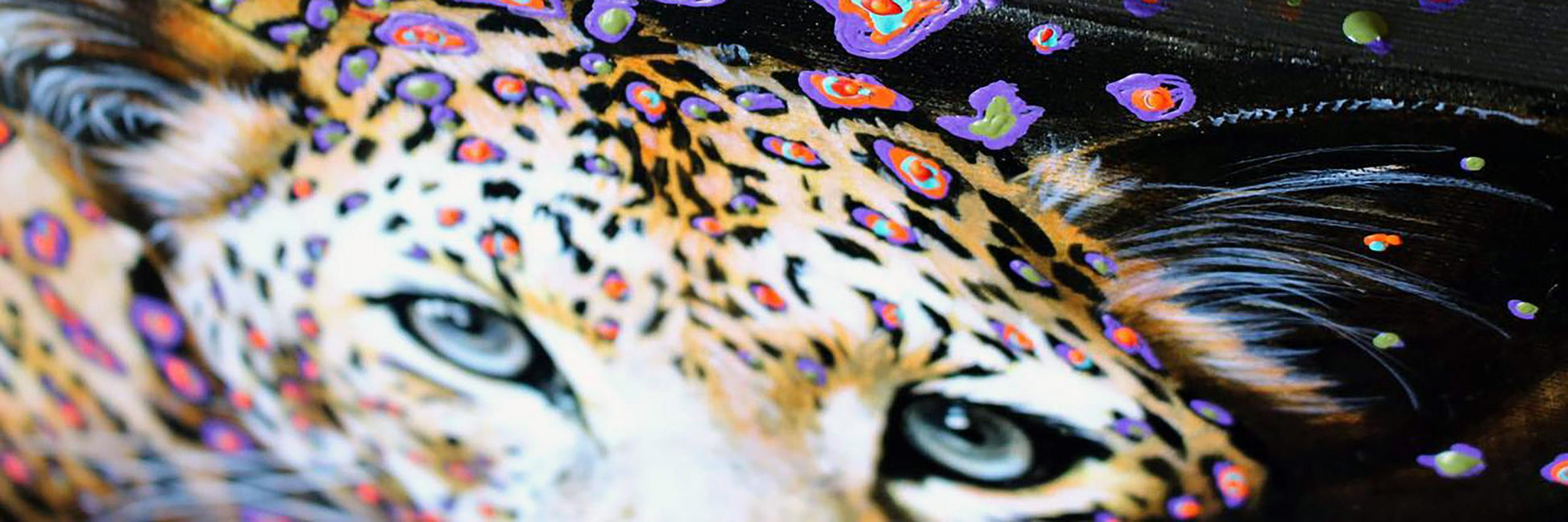 Animals Portraits 