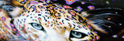 Animals Portraits 