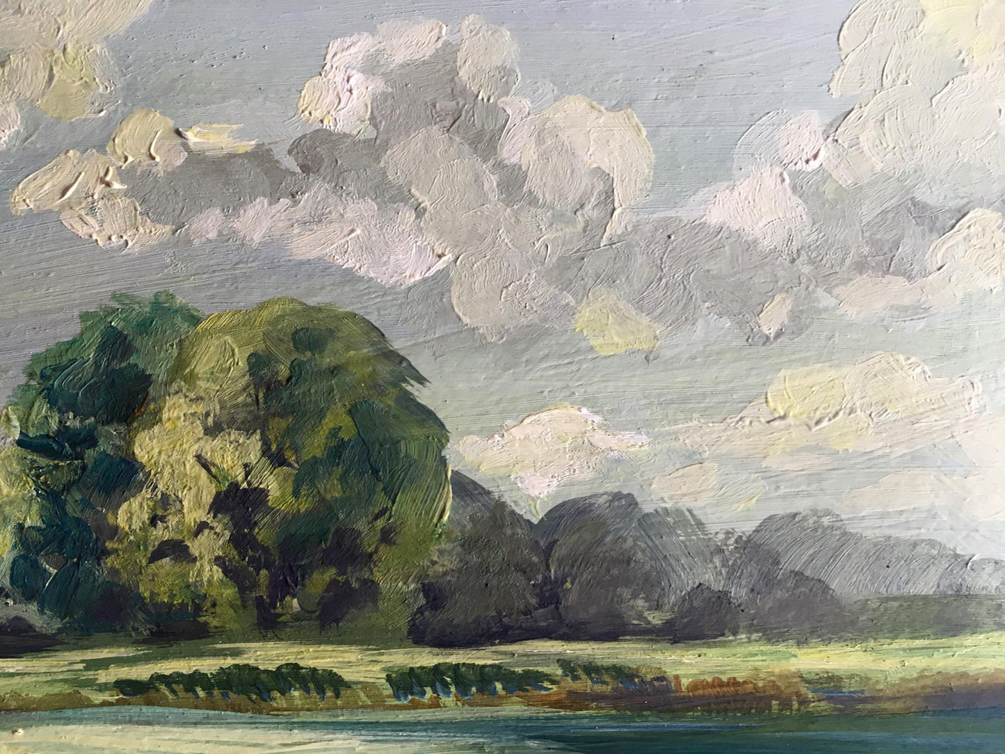 Oil painting Rest by the river Svetlana Gramm