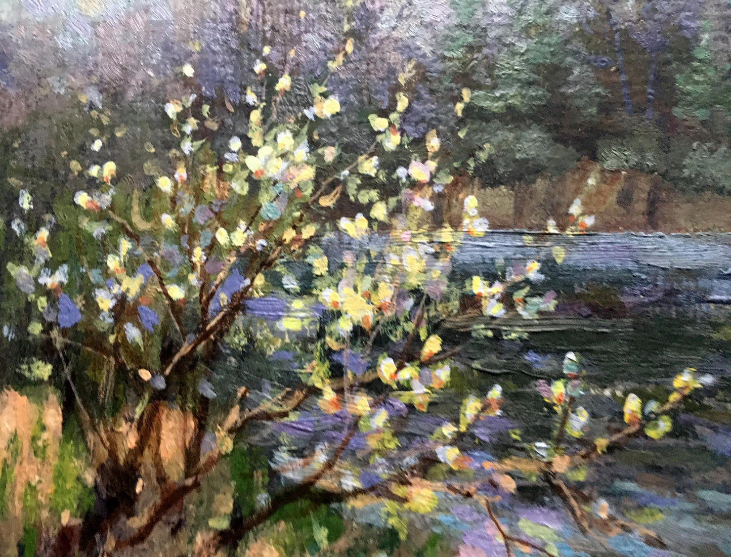 Oil painting Willow blossoms over water Batrakov Vladimir Grigorievich