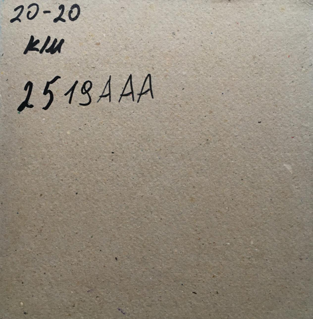 Oil painting Warm spring days Zadorozhnya V. V.