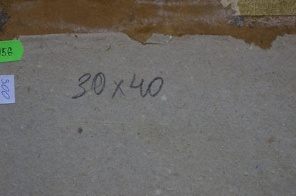 Oil painting Village landscape Pavlyuk Nikolay Artemovich