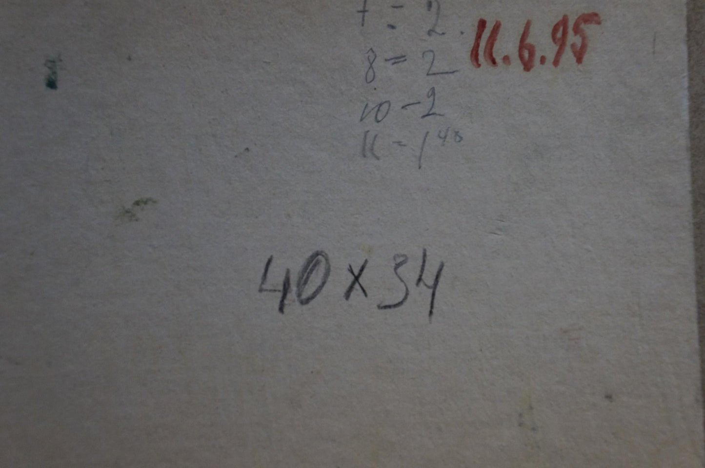 Oil painting Grows in the yard Zatsepina Zinaida Ilinichna