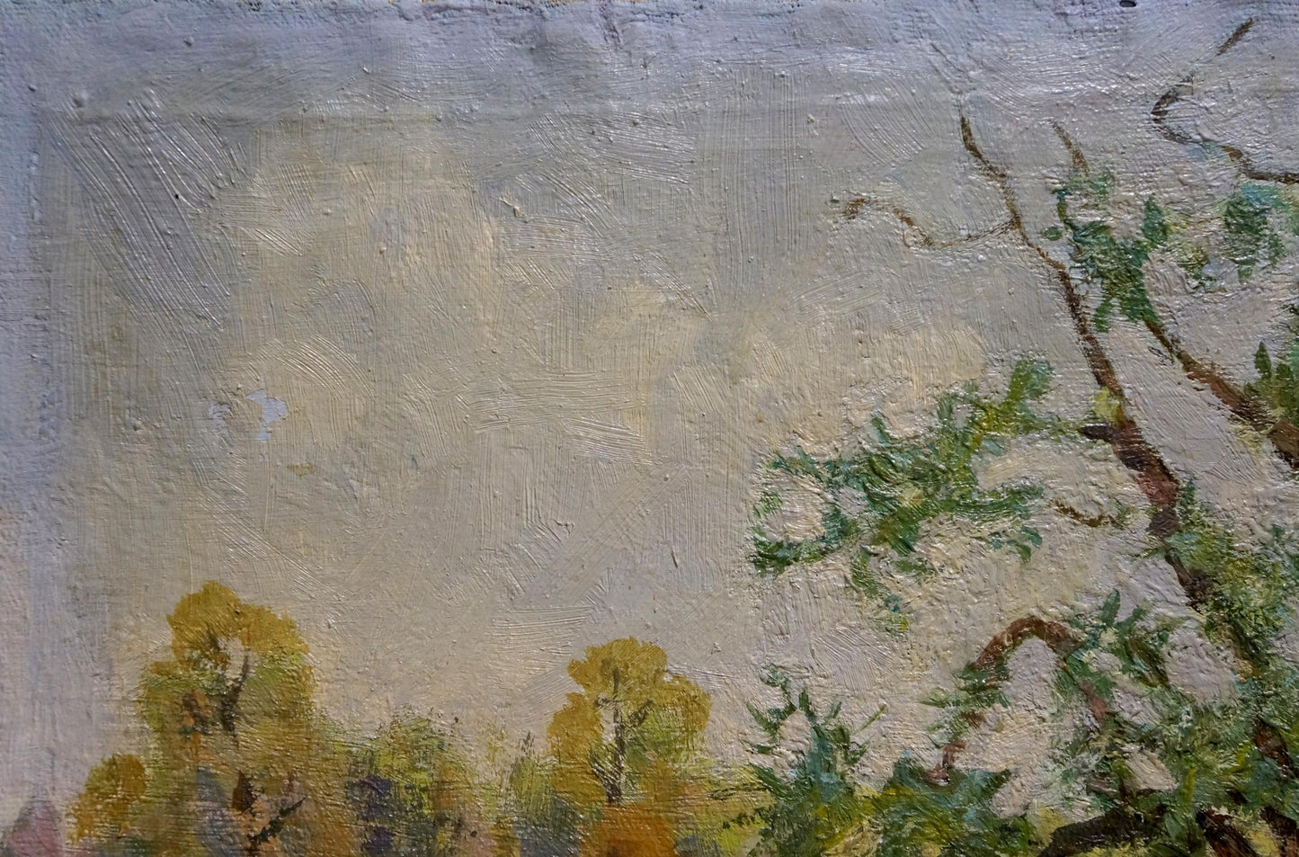 Oil painting Willow Grigoryev Sergey Alekseevich