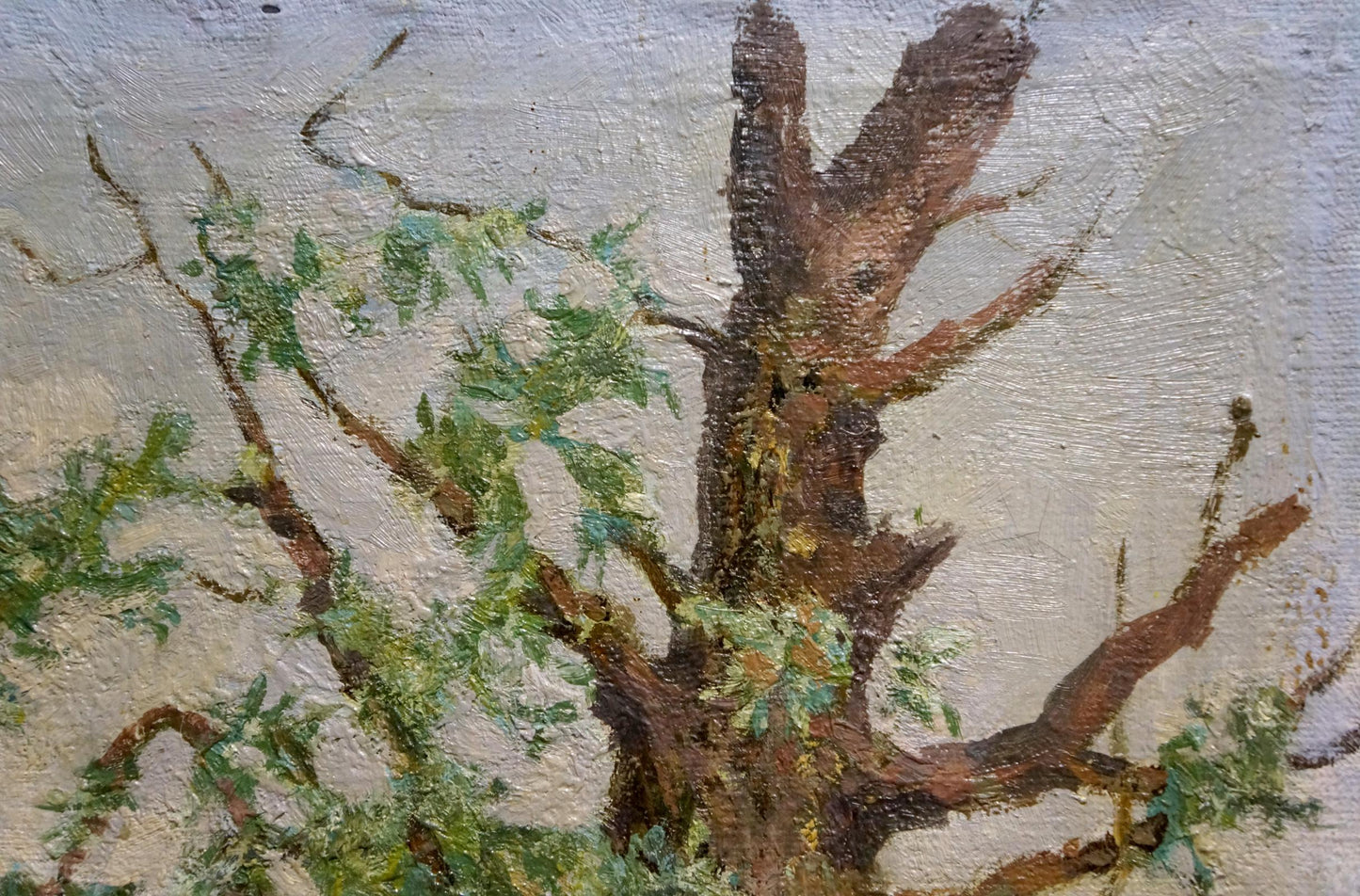 Oil painting Willow Grigoryev Sergey Alekseevich