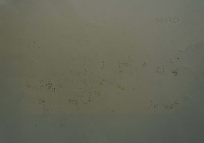 Abstract painting Apples and pumpkins Albina Yaloz