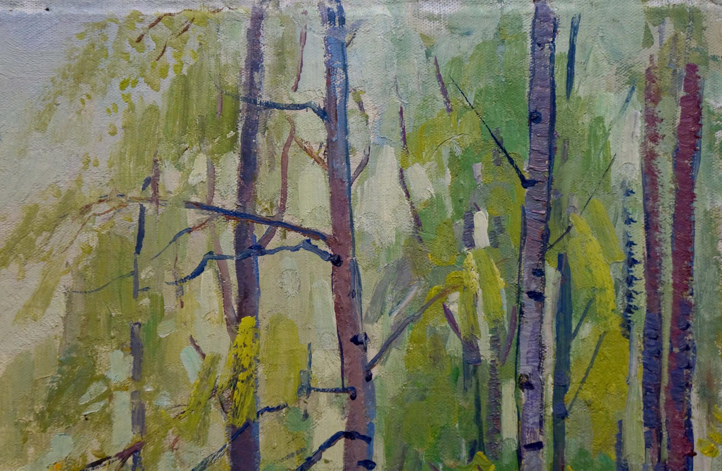 Oil painting Birch thicket Shepetovsky Vitaly Yakovlevich