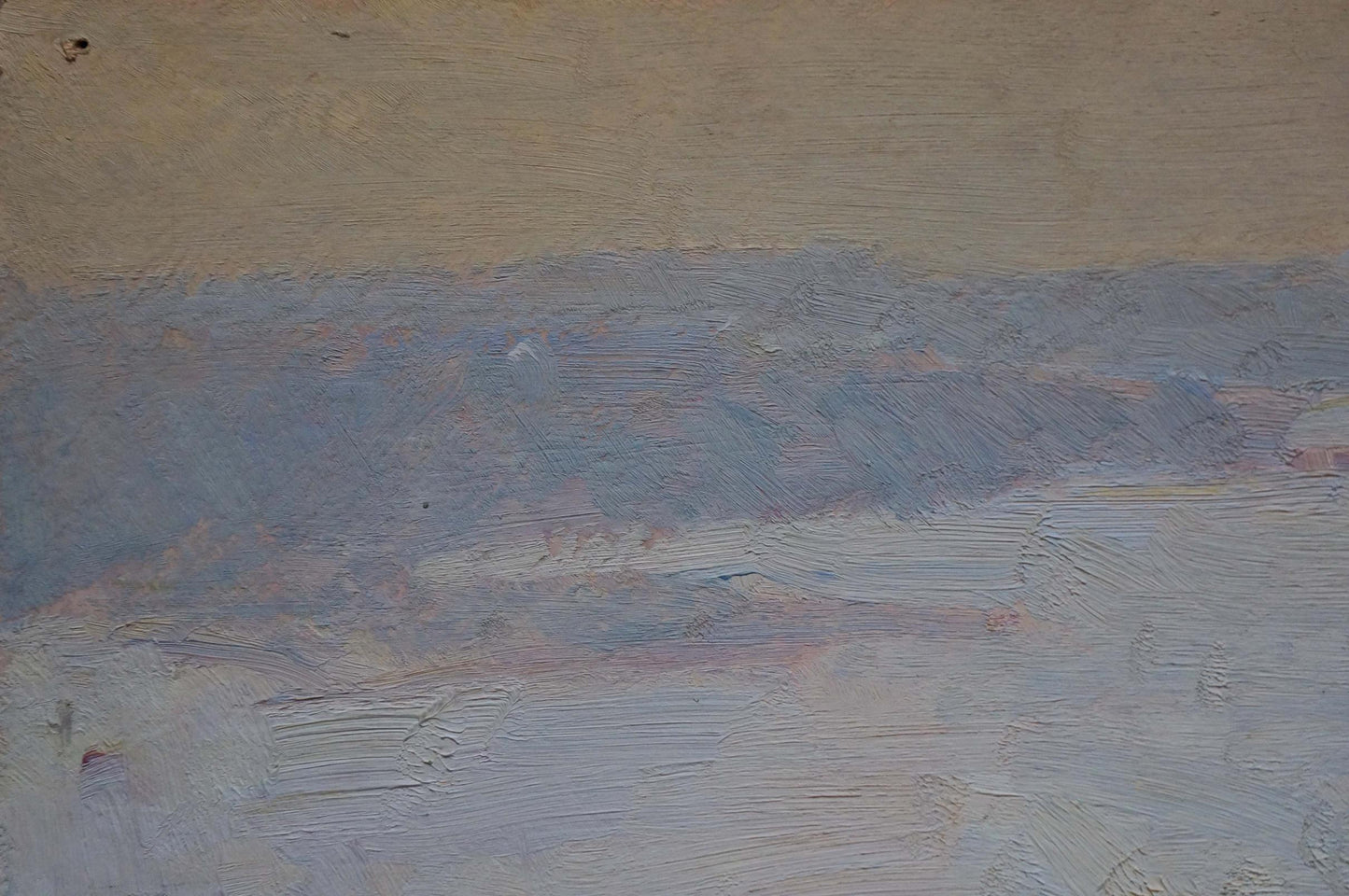 Oil painting Fog Naumova Tamara Sergeevna