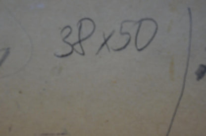 Oil painting Night landscape Mukhin Valery Petrovich