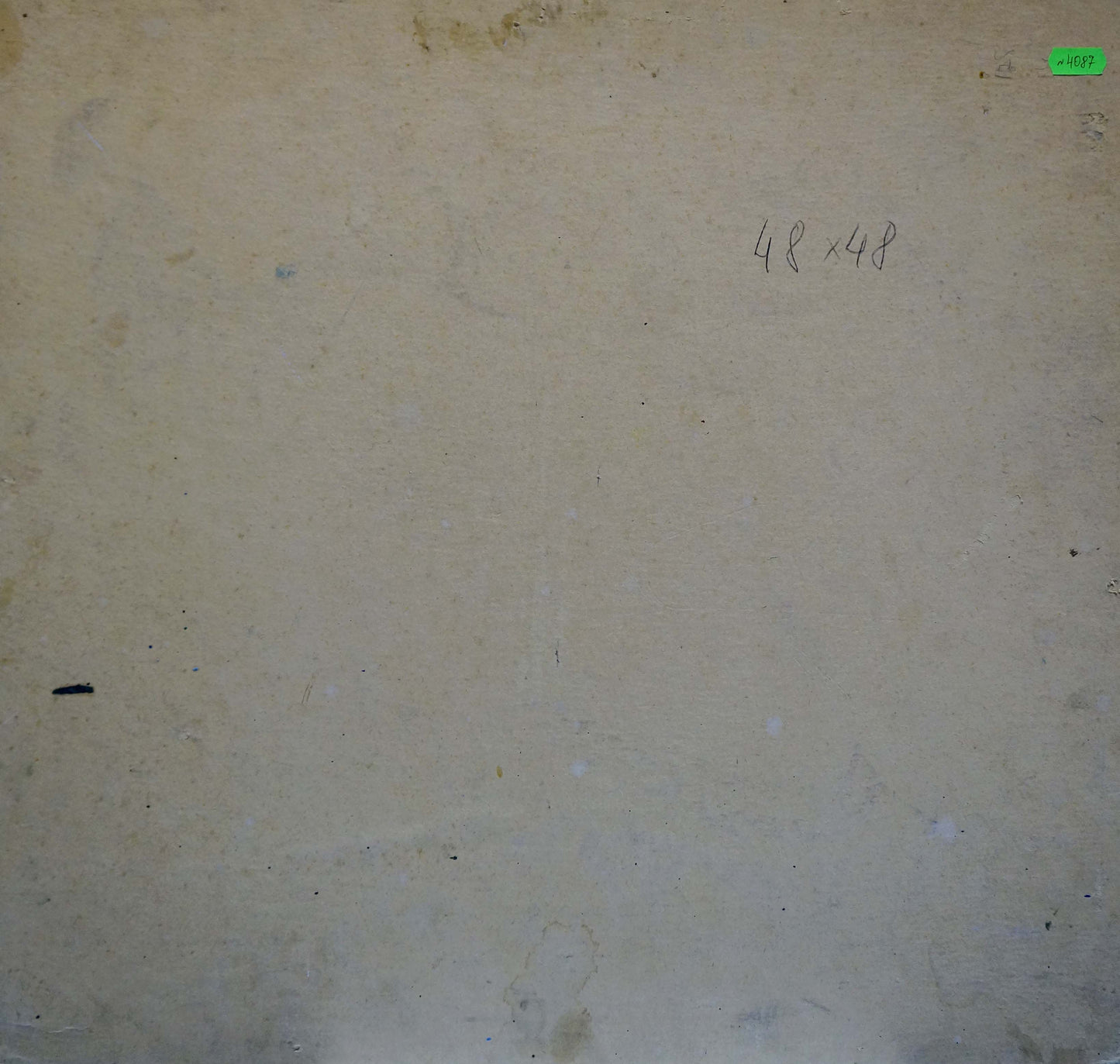 Oil painting Horse near the forest Zhabinsky Leonid Andreevich