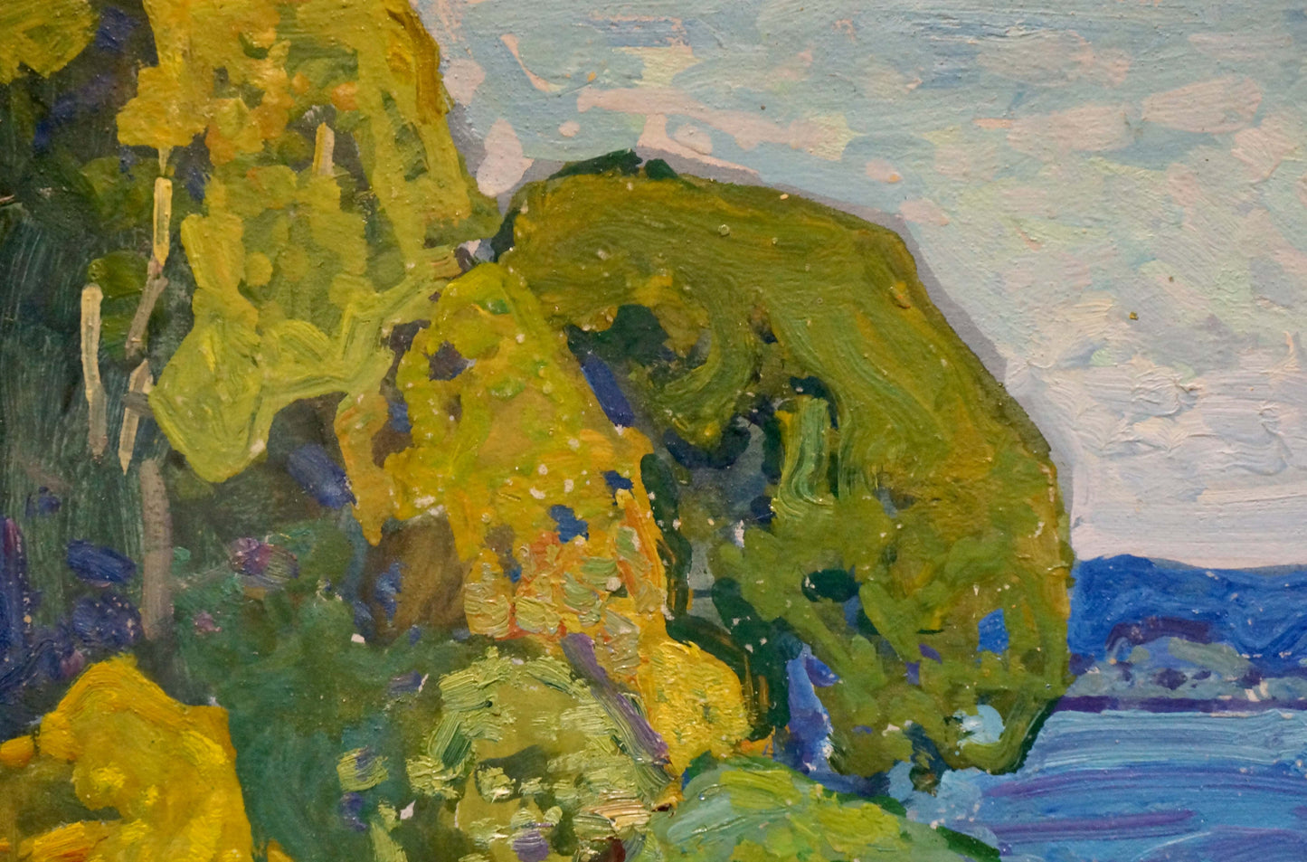Oil painting Landscape with a winding river Viktor Gaiduk